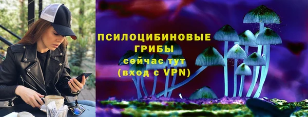 mdma Богданович