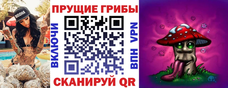 Галлюциногенные грибы мицелий  Медногорск 